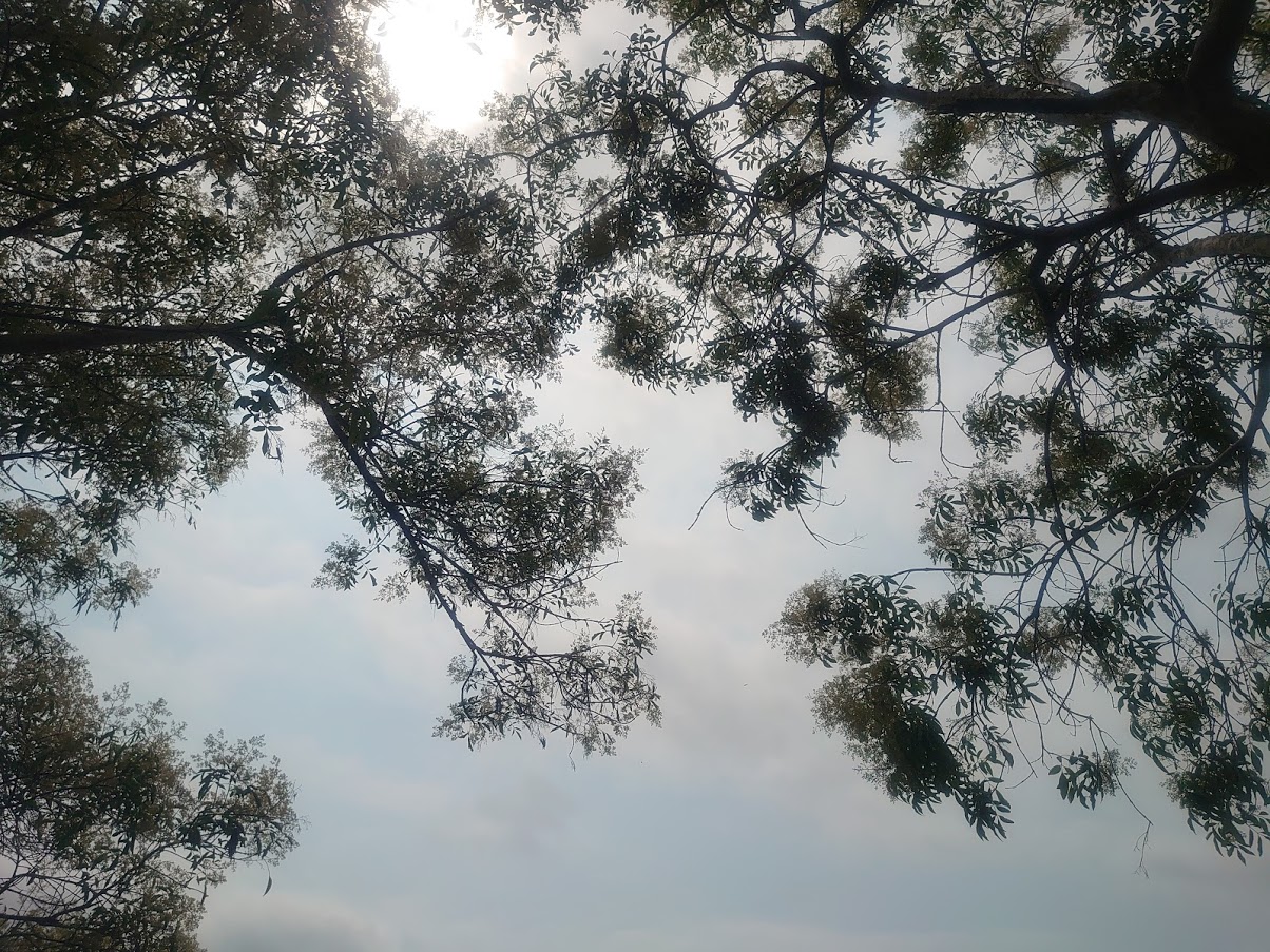 如果積極一點就好了