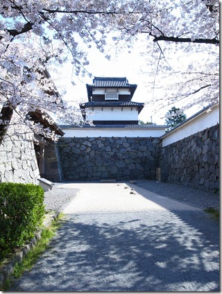 大叔遊九州之福岡賞櫻名所舞鶴公園