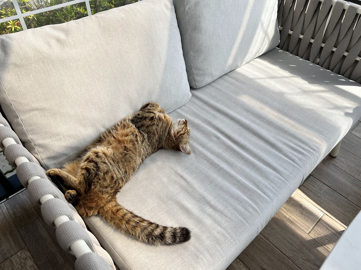 他為什麼不浪漫？