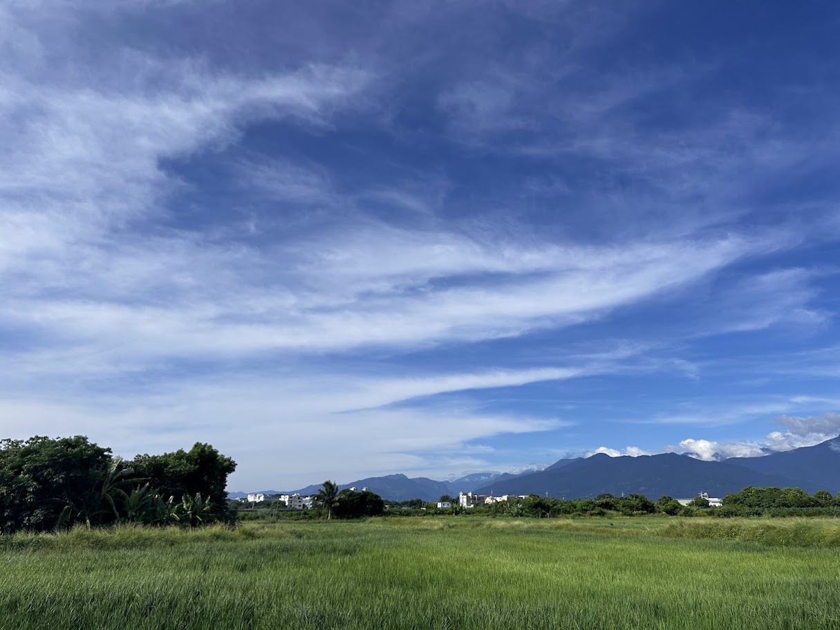 紫微斗數談創業