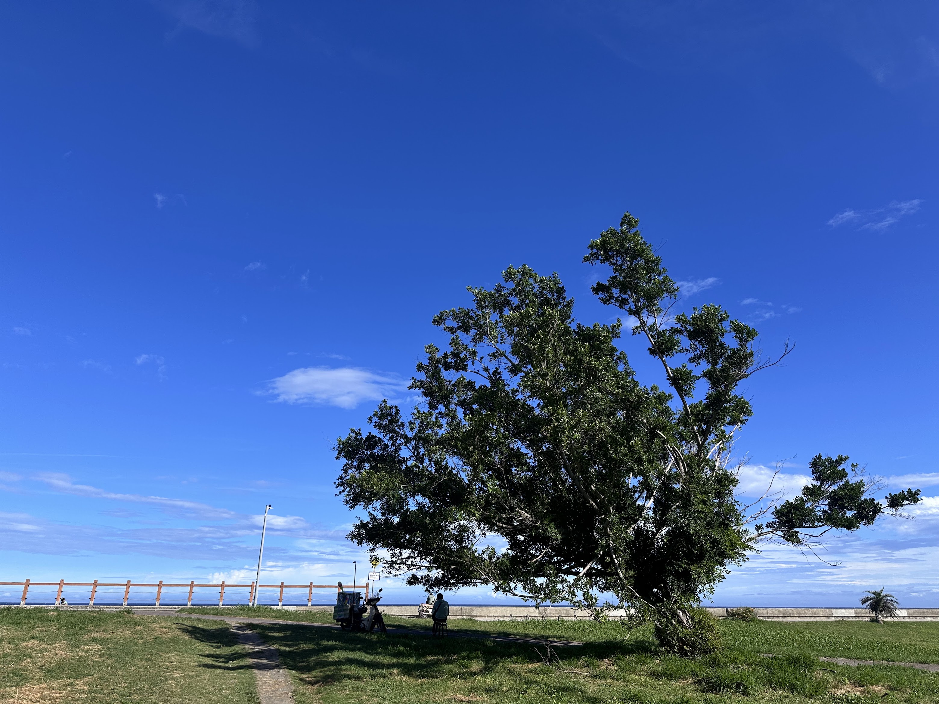 影響事業的關鍵因子：兄弟宮