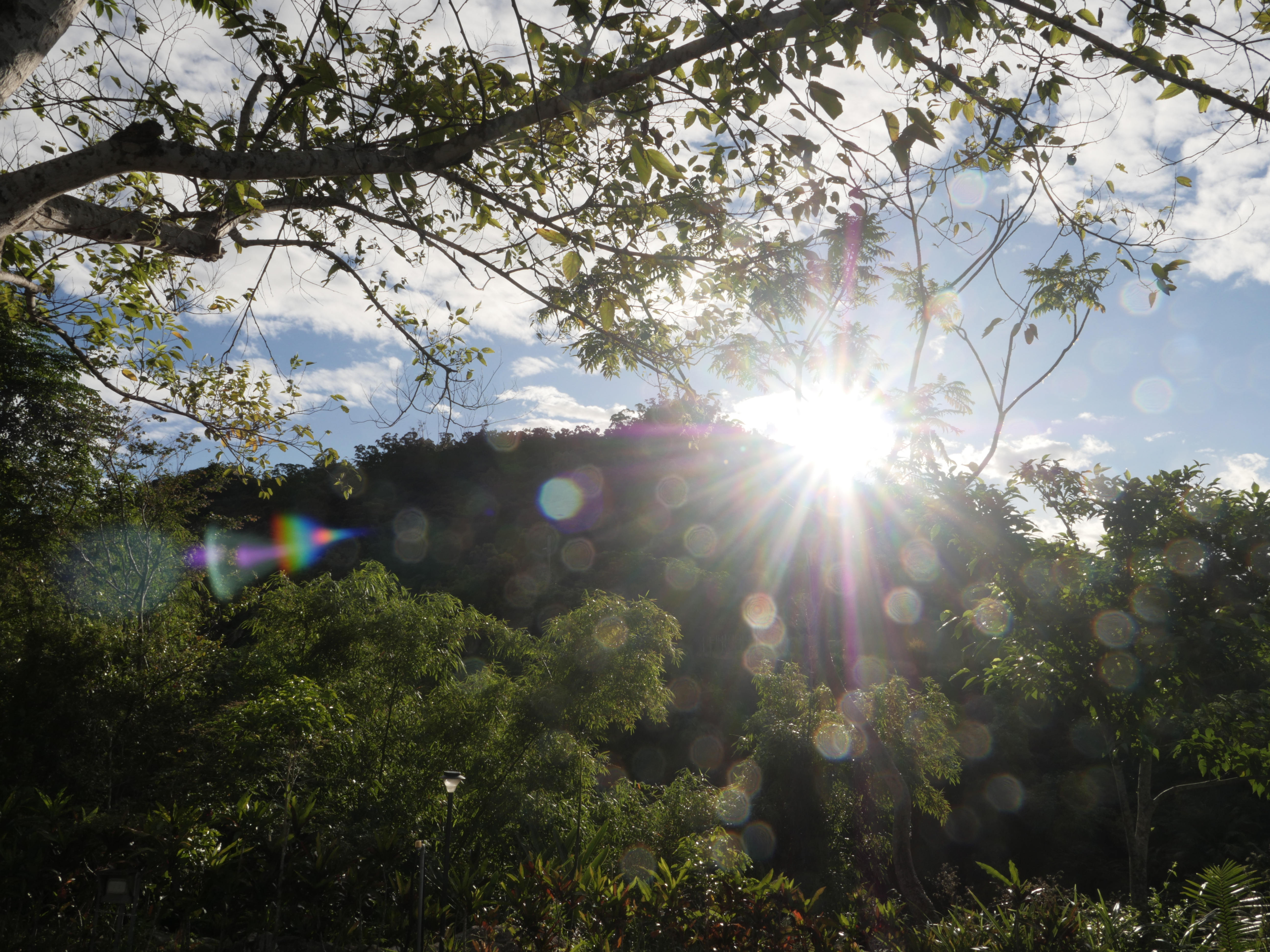 幸好是失去了一個無心對待的人