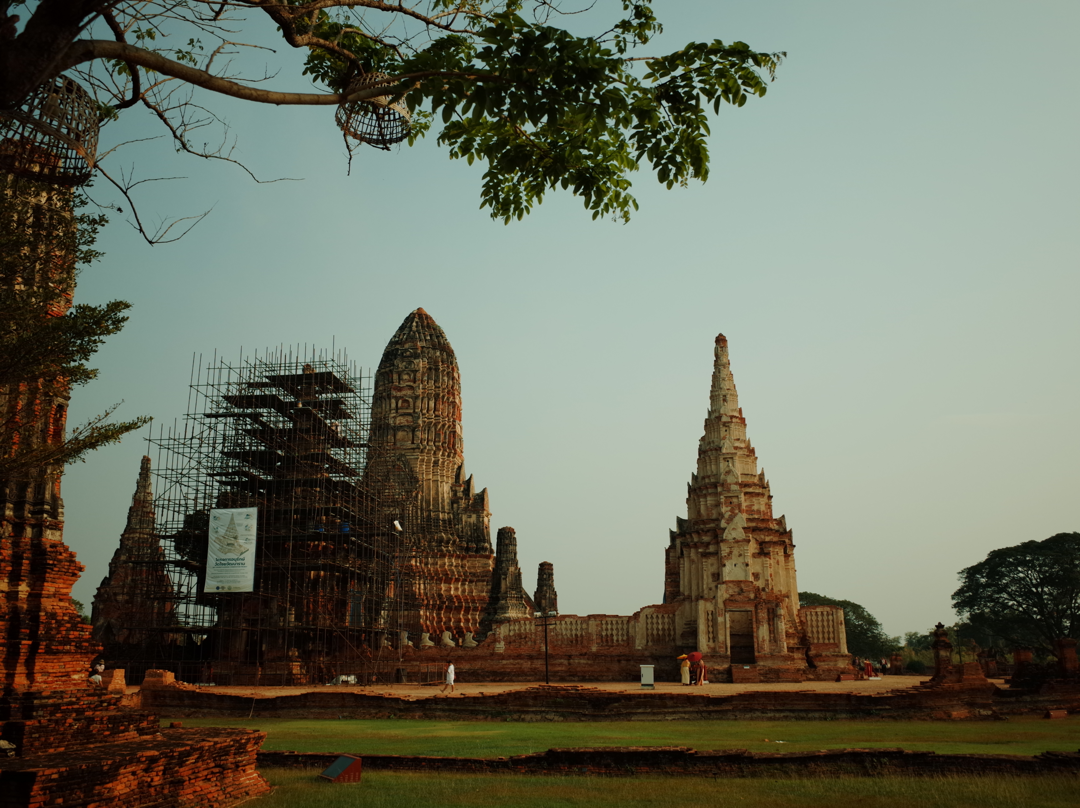 探索廉貞星的內心世界