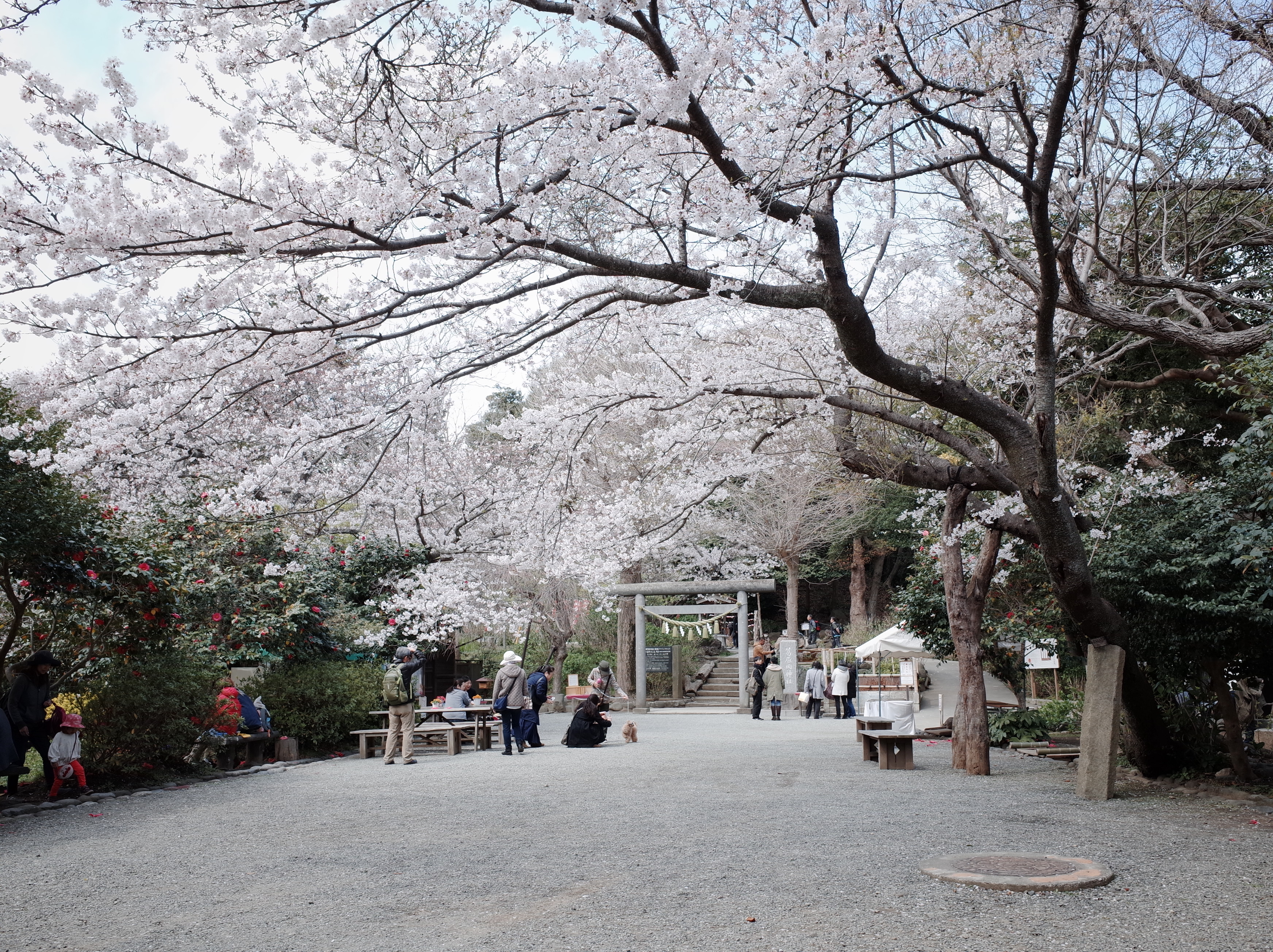 我們的回應，才真正定義了自己